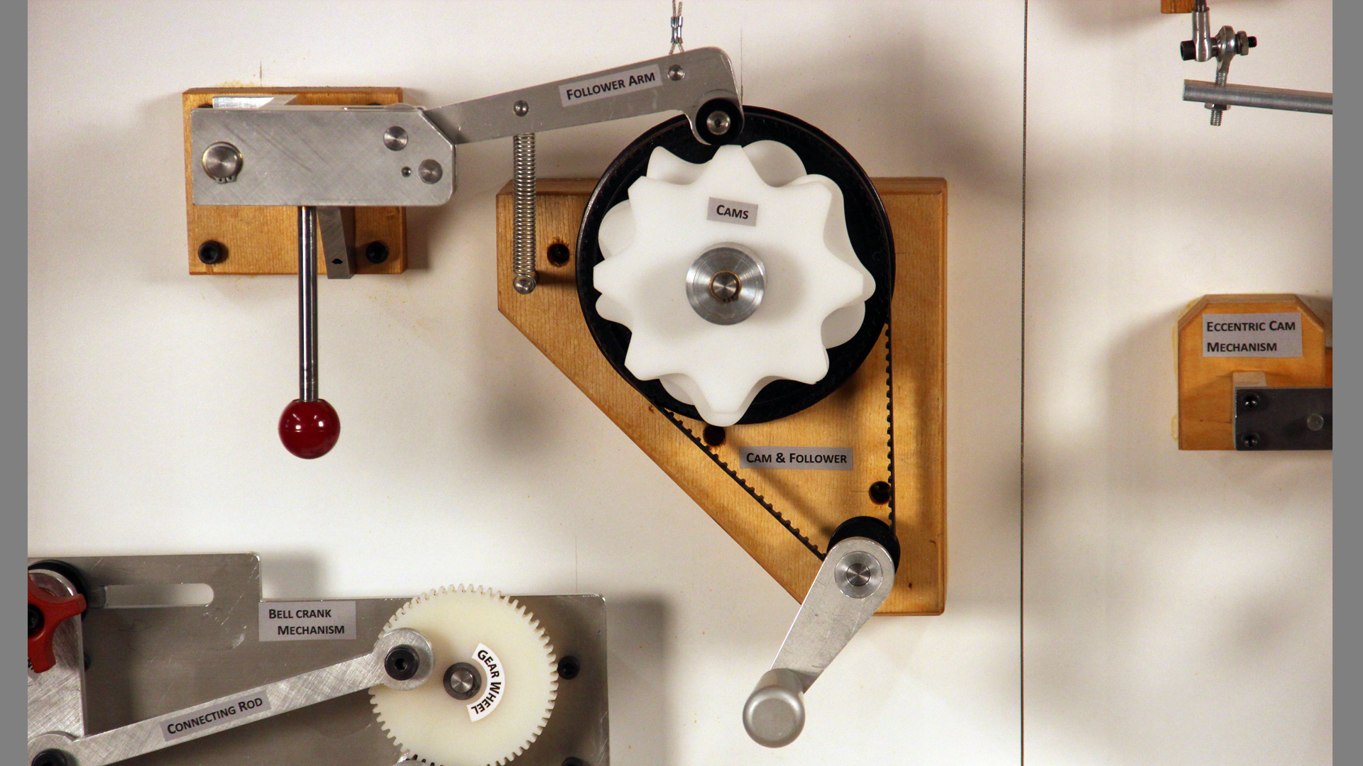 S.T.E.A.M Dragon - detail